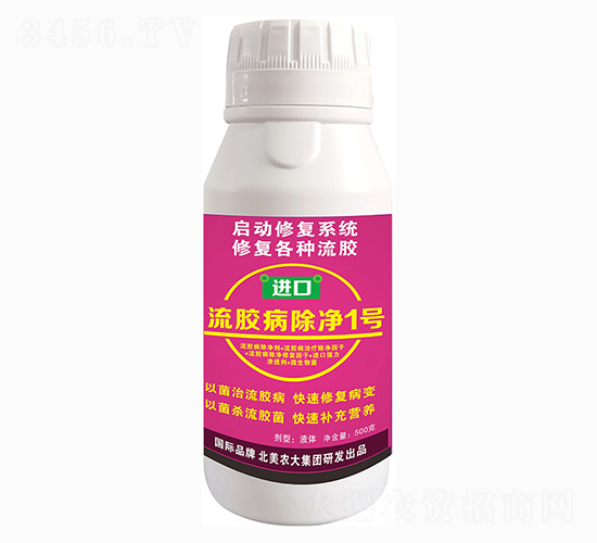 �M�����z������1̖-�����r(n��ng)��