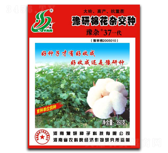 豫雜37-棉花種子-秋樂種業(yè)