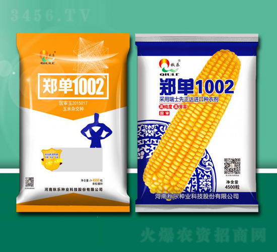 鄭單1002-玉米種子-秋樂種業(yè)