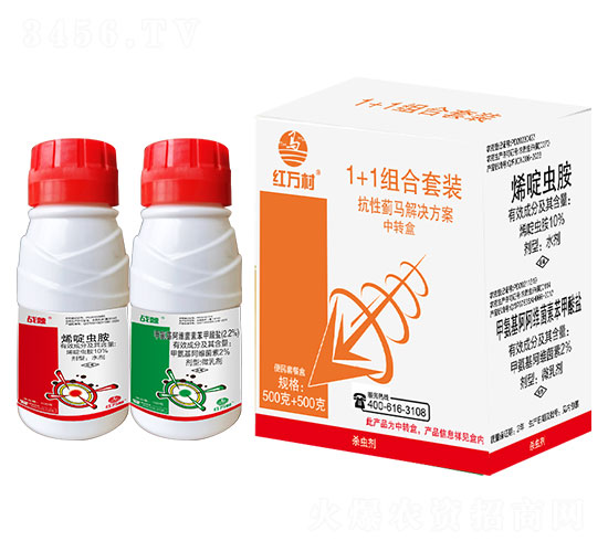 1+1�����E�R�M�����b-�t�f��-�l(xi��ng)�弾�L(f��ng)-���˹����r(n��ng)��