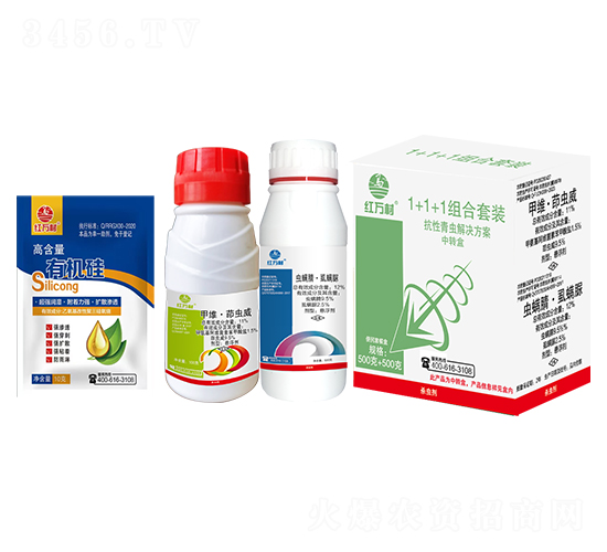 1+1�������x�M�����b-�t�f��-�l(xi��ng)�弾�L-���˹����r��