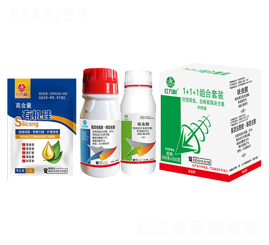 1+1+1�M�ϣ��������x�׷�ʭ��Q������-�t�f��-�l(xi��ng)�弾�L(f��ng)-���˹����r(n��ng)��