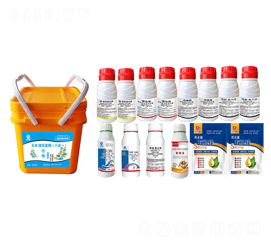 ���ױ����ײͣ��˺�һ��-�l(xi��ng)�弾�L(f��ng)