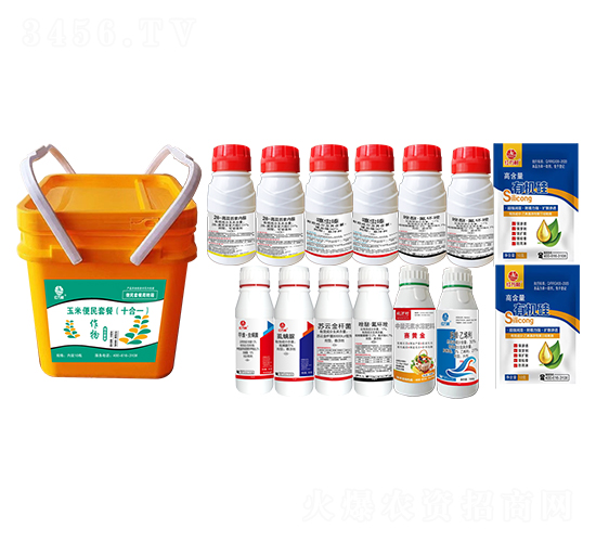 ���ױ���M�����b��ʮ��һ��-�l(xi��ng)�弾�L(f��ng)