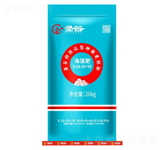 �����5-10-35+TE-ʥ��-�����r(n��ng)�I(y��)