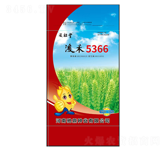 浚禾5366-小麥種子-馳鼎種業(yè)