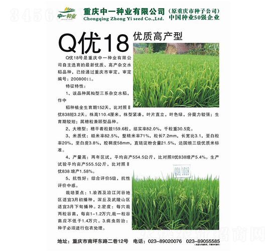 Q優(yōu)18號-水稻種子-神農(nóng)科技