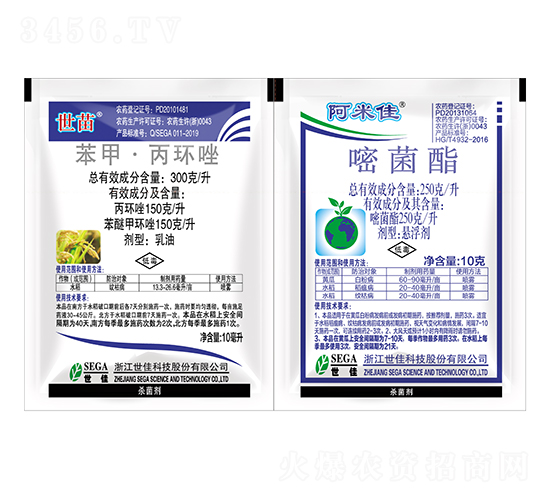 ����+���׼�-����