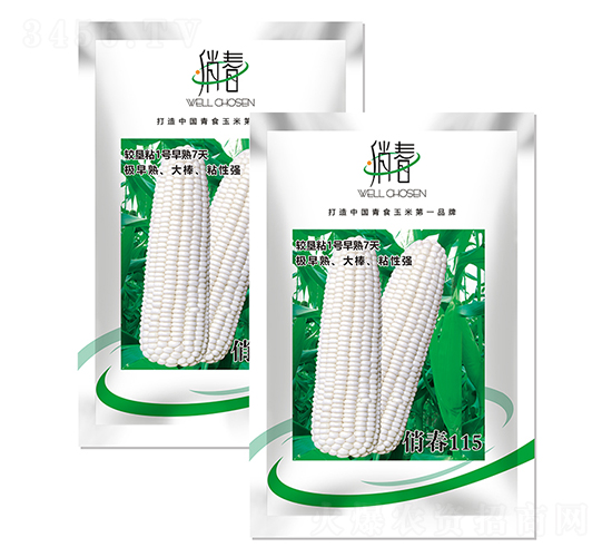 俏春115-玉米種子-富爾農藝