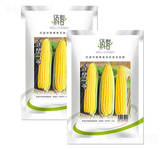 俏春一號-玉米種子-富爾農(nóng)藝