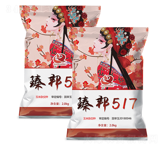 臻邦517-玉米種子-富爾農(nóng)藝