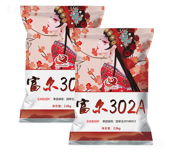 富爾302A-玉米種子-富爾農(nóng)藝