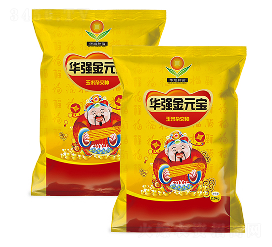 華強(qiáng)金元寶-玉米種子-富爾農(nóng)藝