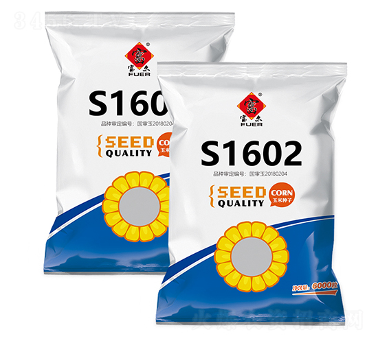 富爾1602-玉米種子-富爾農(nóng)藝