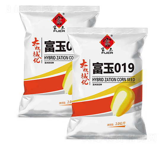 富玉019-玉米種子-富爾農(nóng)藝