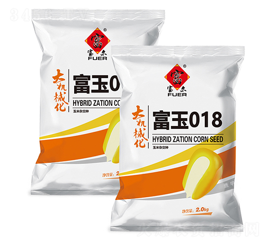 富玉018-玉米種子-富爾農(nóng)藝