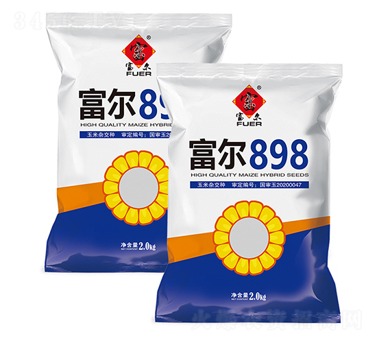 富爾898-玉米種子-富爾農(nóng)藝