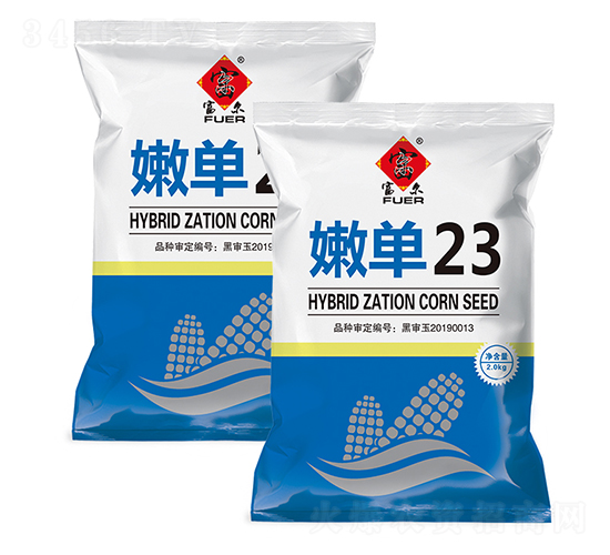 嫩單23-玉米種子-富爾農(nóng)藝