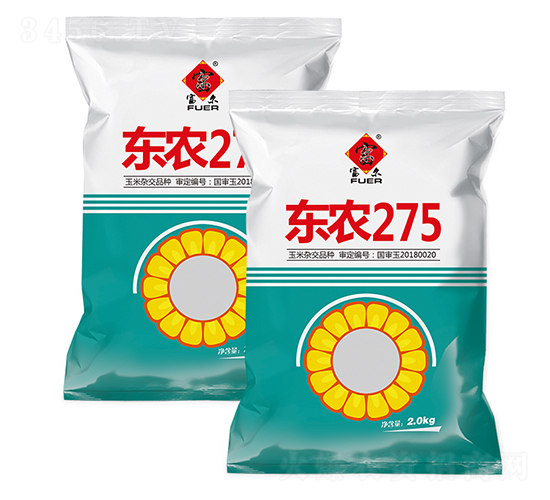 東農(nóng)275-玉米種子-富爾農(nóng)藝