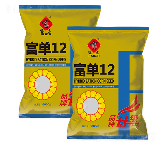 富單12-玉米種子-富爾農(nóng)藝