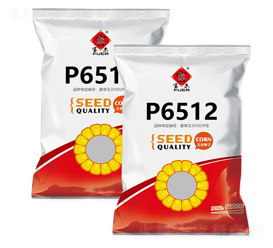 P6512-玉米種子-富爾農(nóng)藝