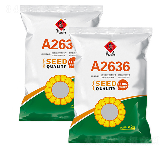 A2636-玉米種子-富爾農藝