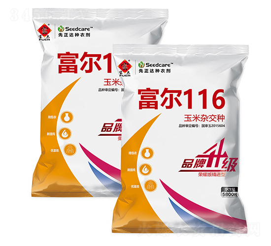 富爾116-玉米種子-富爾農(nóng)藝