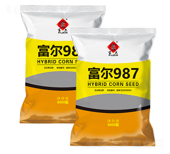 富爾987-玉米種子-富爾農(nóng)藝