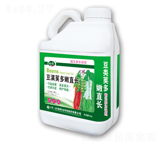 豆?jié)M莢多嫩直長(zhǎng)-勁萃-榮耀農(nóng)業(yè)