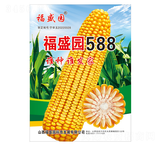 福盛園588-玉米種子-強盛種業(yè)