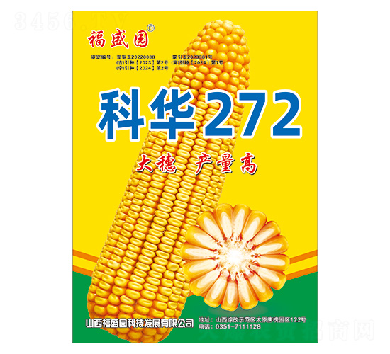 科華272-玉米種子-強盛種業(yè)