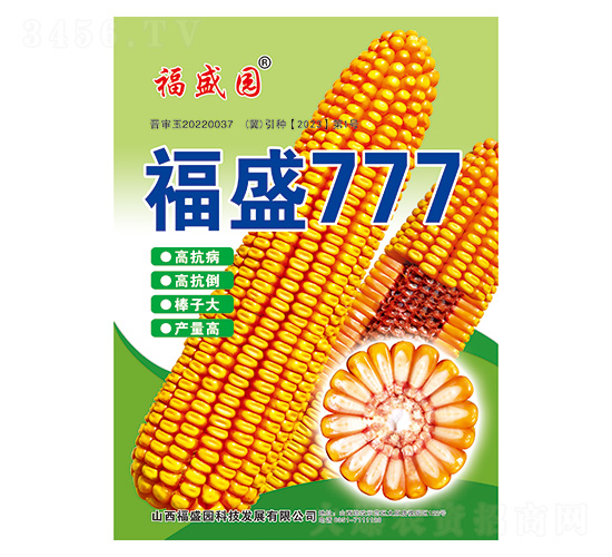 福盛777-玉米種子-強盛種業(yè)