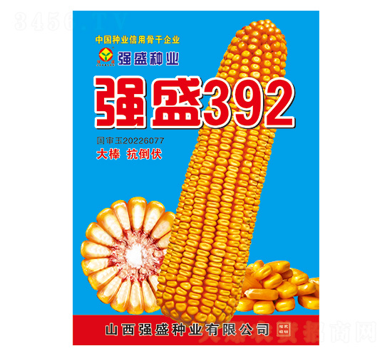 ��(qi��ng)ʢ392-���׷N��-��(qi��ng)ʢ�N�I(y��)