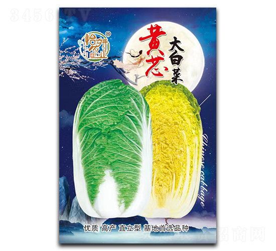 黃芯大白菜種子-怡妍農業(yè)