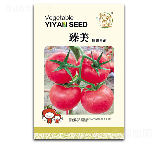 �����۹�����-���ѷN��-�����r(n��ng)�I(y��)