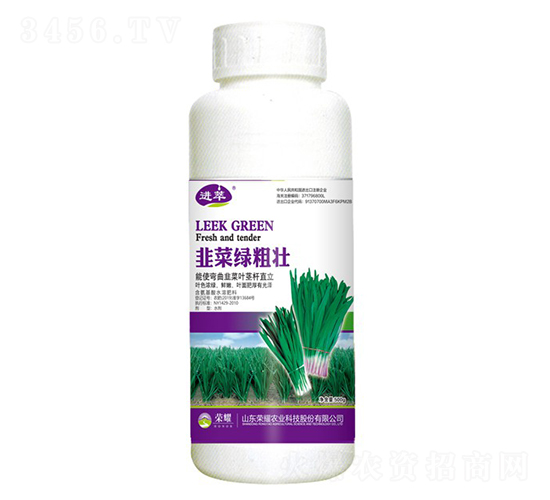 韭菜綠粗壯（500g）-進萃-榮耀農業(yè)