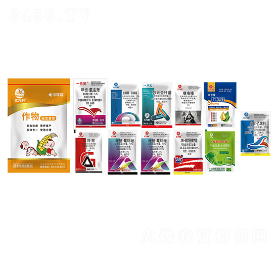 ���ױ���M�����b-�l(xi��ng)�弾�L(f��ng)