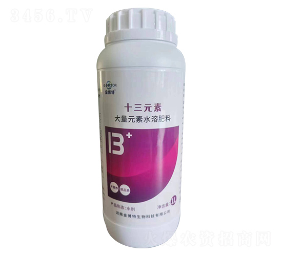 ʮ��Ԫ��-����