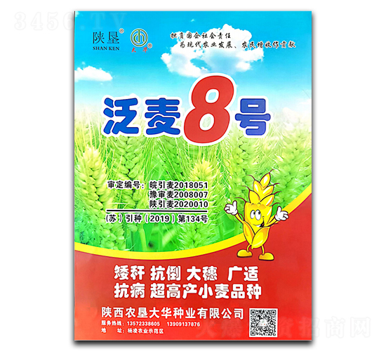 ����8̖-С���N��-ꃉ����A