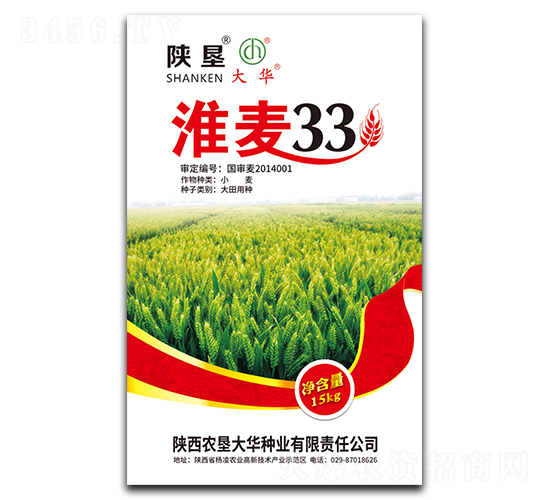 ����33-С���N��-ꃉ����A