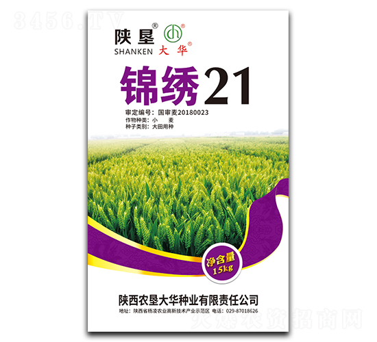 �\�C21-С���N��-ꃉ����A