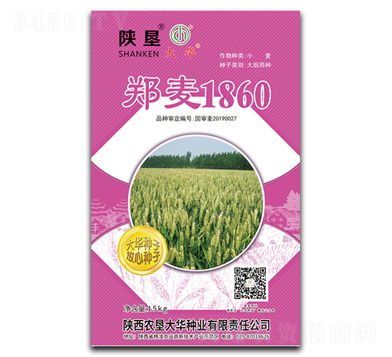 ����1860-С���N��-ꃉ����A