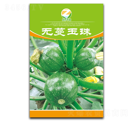 無蔓玉珠-小南瓜種子-良籽農(nóng)業(yè)