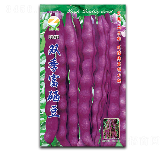 �p��������-�����N��-�����r(n��ng)�I(y��)