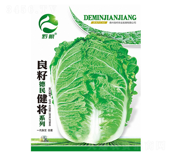 白菜種子-良籽德民健將系列-良籽農(nóng)業(yè)