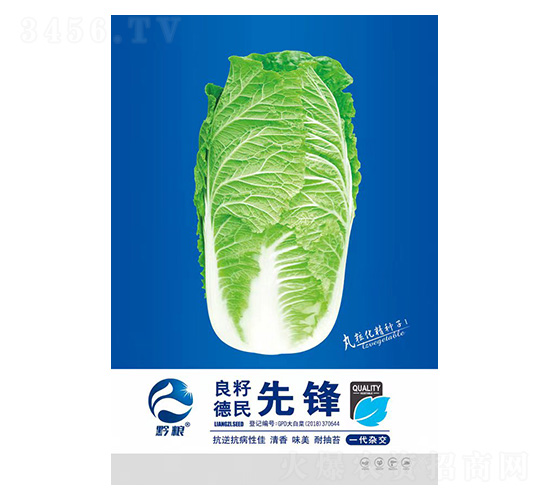 白菜種子-先鋒-良籽農(nóng)業(yè)