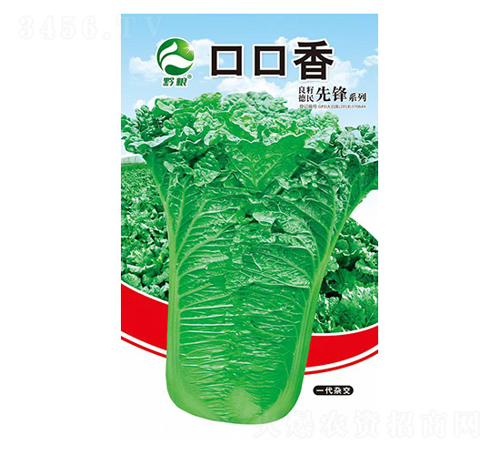 白菜種子-口口香-良籽農(nóng)業(yè)