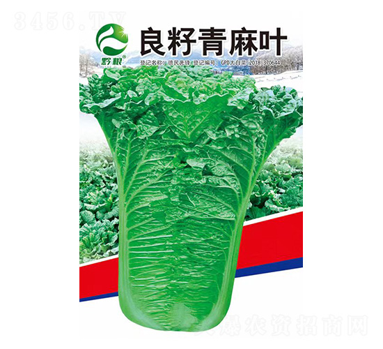白菜種子-良籽青麻葉-良籽農(nóng)業(yè)