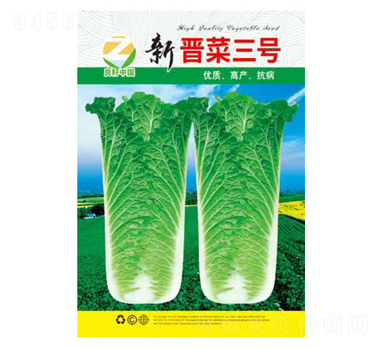 白菜種子-新晉菜三號-良籽農(nóng)業(yè)