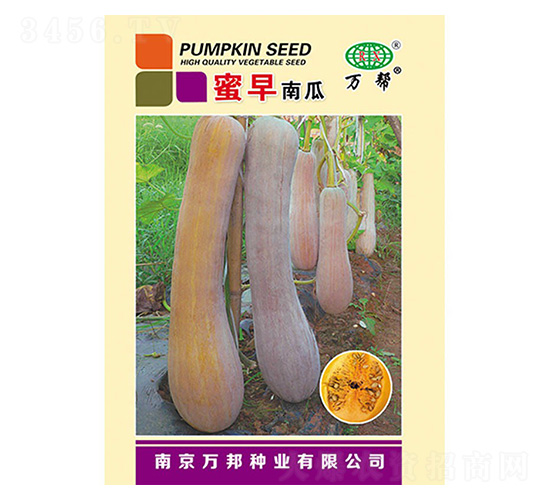 蜜早南瓜-萬(wàn)邦種業(yè)